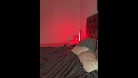 ellamae @ stripchat on 20251119