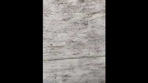 hot_plak @ stripchat on 20251119