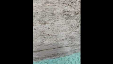 hot_plak @ stripchat on 20251119