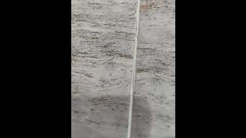 hot_plak @ stripchat on 20251119