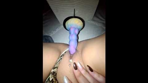 iitaniee @ stripchat on 20251119