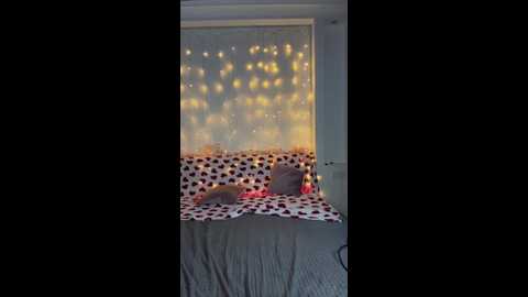 melisa_diamond @ stripchat on 20251119