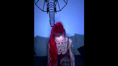 mia_fuchs @ stripchat on 20251119