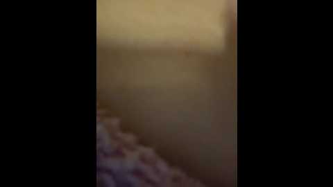 sweetbunnygf @ stripchat on 20251119