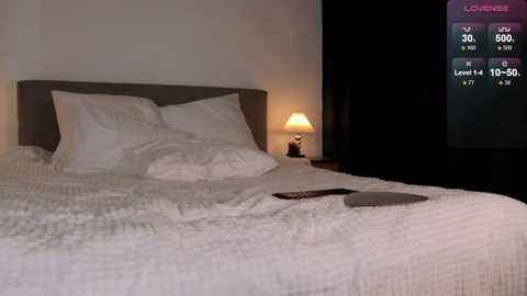 wow_peach_girl @ stripchat on 20251119