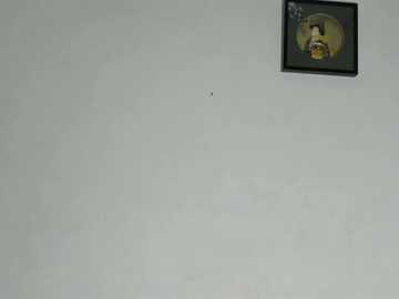 yenifer_maicol @ stripchat on 20251119