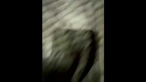 anonimgirl18old @ stripchat on 20251120