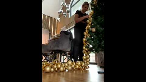 bella_tight @ stripchat on 20251120