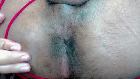 big_slutnasty @ stripchat on 20251120