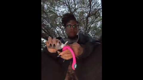 darkdea @ stripchat on 20251120