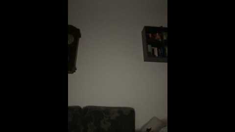 hannah_2007 @ stripchat on 20251120