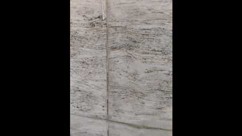 hot_plak @ stripchat on 20251120