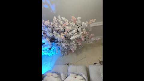 jesse_veraa_ @ stripchat on 20251120