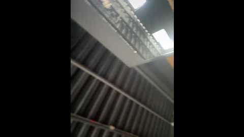 lalilamassu1 @ stripchat on 20251120