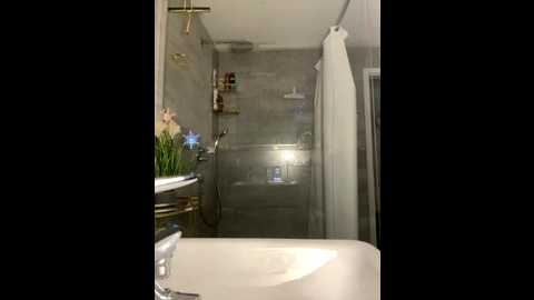 lilly_cherry69 @ stripchat on 20251120