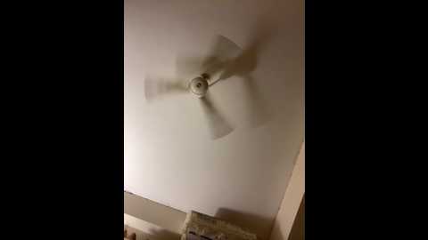 aicouple @ stripchat on 20251121