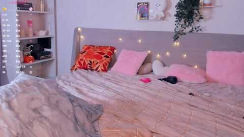 evasolisv @ stripchat on 20251121