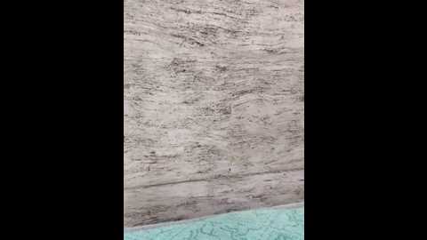 hot_plak @ stripchat on 20251121