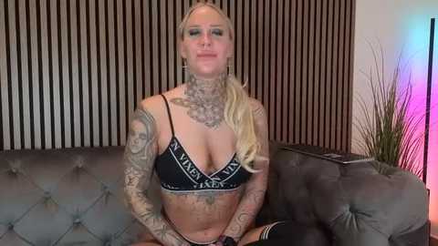 lara_cumkitten @ stripchat on 20251121