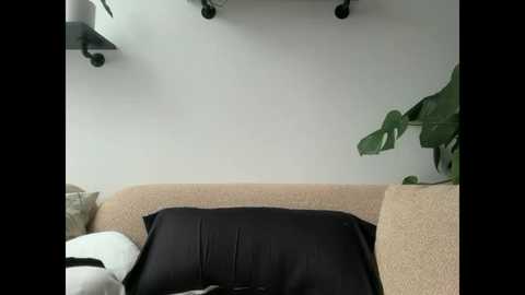 mary_wet @ stripchat on 20251121