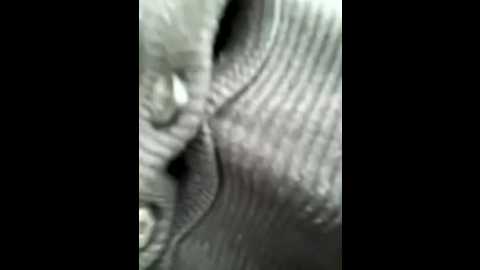 natakitten @ stripchat on 20251121