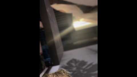 nikamur @ stripchat on 20251121