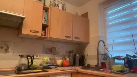 s_te_fan_i @ stripchat on 20251121