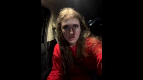 secretknight_mrmask @ stripchat on 20251121