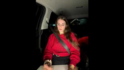 secretknight_mrmask @ stripchat on 20251121