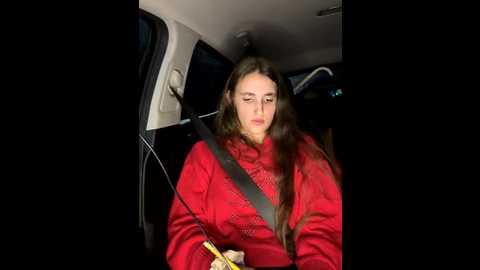 secretknight_mrmask @ stripchat on 20251121