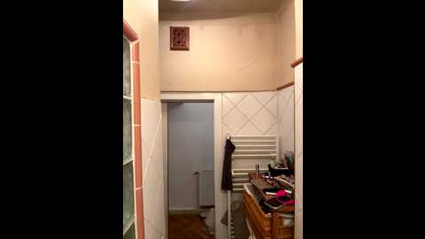 sophiiastarr @ stripchat on 20251121