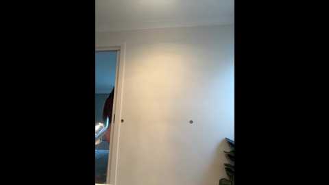 aus_queen @ stripchat on 20251122