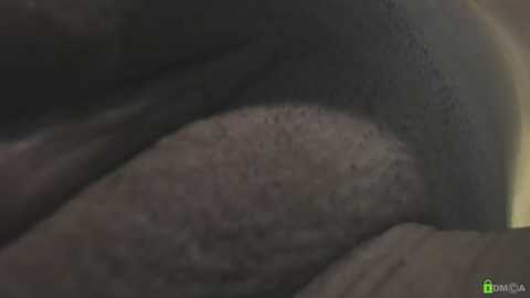 courtney_luv @ stripchat on 20251122