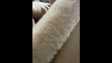 kirasunshine @ stripchat on 20251122