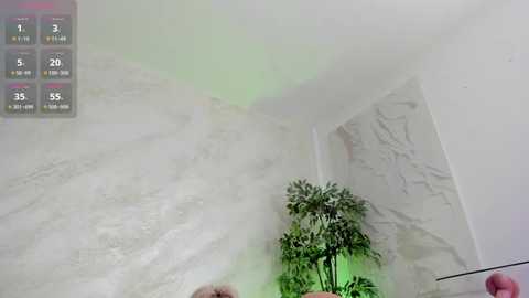 lissababe1 @ stripchat on 20251122