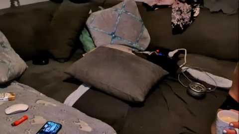 littletjx @ stripchat on 20251122