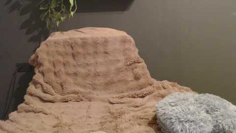 luna_lynn @ stripchat on 20251122