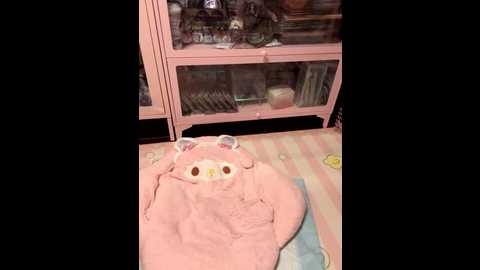 nide_xiaogou @ stripchat on 20251122