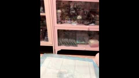 nide_xiaogou @ stripchat on 20251122