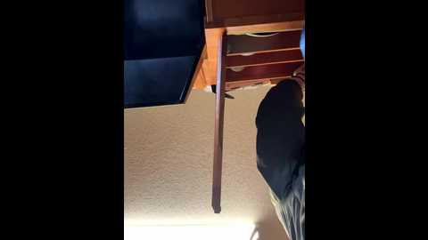 secretknight_mrmask @ stripchat on 20251122