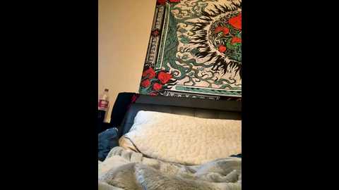 secretknight_mrmask @ stripchat on 20251122