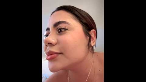 aryrosee @ stripchat on 20251123