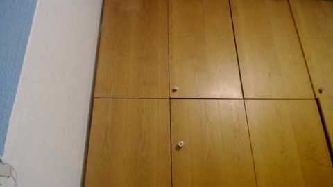 bellefleurrr @ stripchat on 20251123