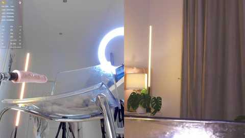 eva_bailey_ @ stripchat on 20251123