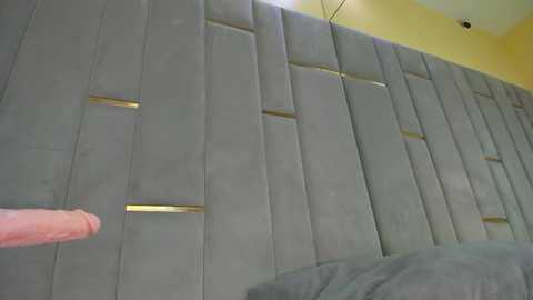 eva_lim @ stripchat on 20251123