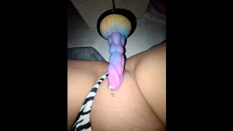 iitaniee @ stripchat on 20251123