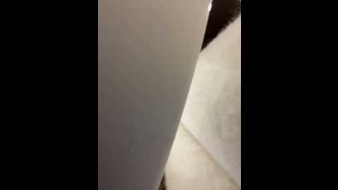 lia__love @ stripchat on 20251123