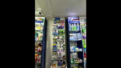 roouse @ stripchat on 20251123