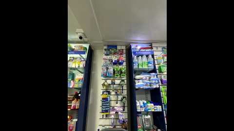 roouse @ stripchat on 20251123