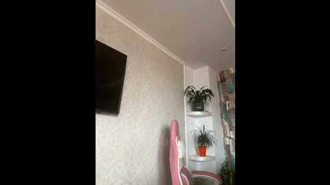 zenaidasasha @ stripchat on 20251123